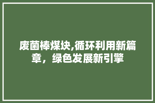 废菌棒煤块,循环利用新篇章，绿色发展新引擎