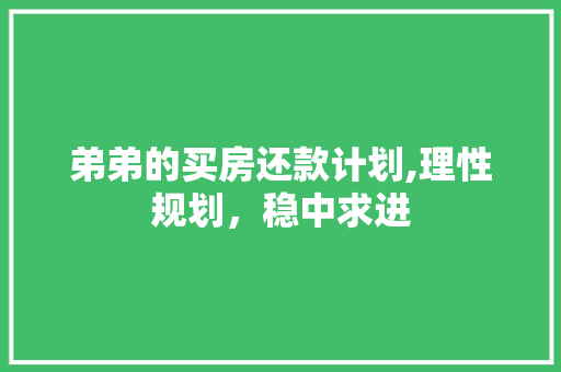 弟弟的买房还款计划,理性规划，稳中求进