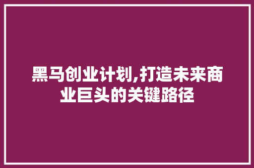 黑马创业计划,打造未来商业巨头的关键路径