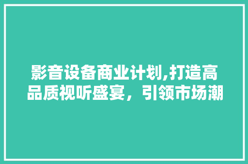 影音设备商业计划,打造高品质视听盛宴，引领市场潮流