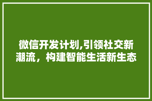 微信开发计划,引领社交新潮流，构建智能生活新生态