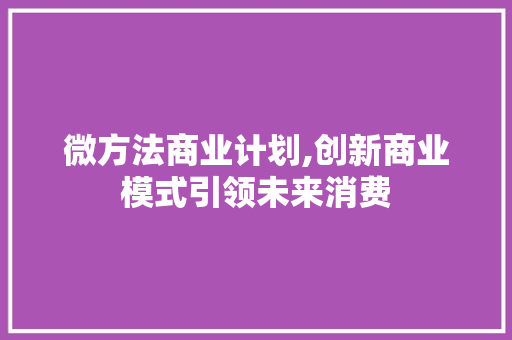 微方法商业计划,创新商业模式引领未来消费