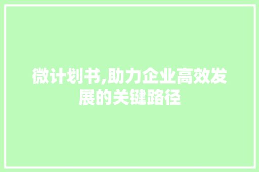 微计划书,助力企业高效发展的关键路径 生活类