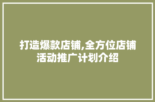 打造爆款店铺,全方位店铺活动推广计划介绍