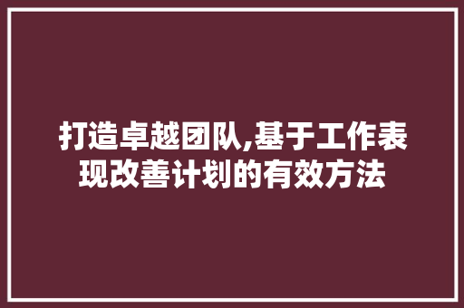 打造卓越团队,基于工作表现改善计划的有效方法
