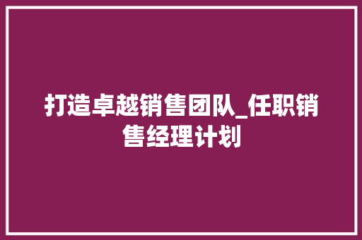 打造卓越销售团队_任职销售经理计划 工作报告