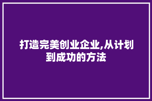 打造完美创业企业,从计划到成功的方法 工作总结