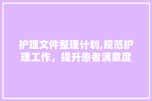 护理文件整理计划,规范护理工作，提升患者满意度