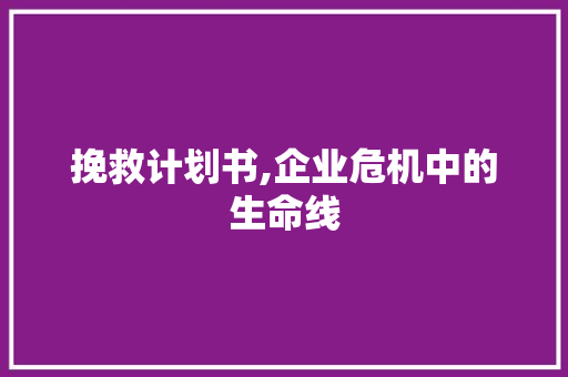 挽救计划书,企业危机中的生命线
