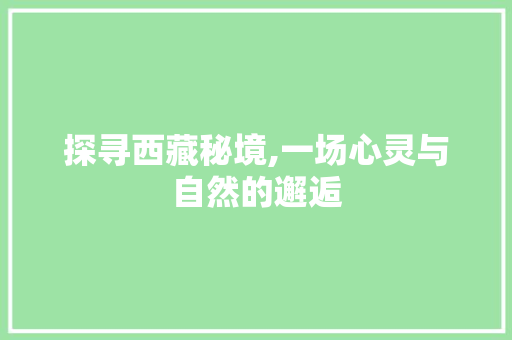 探寻西藏秘境,一场心灵与自然的邂逅
