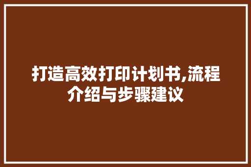 打造高效打印计划书,流程介绍与步骤建议