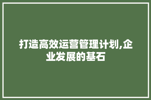 打造高效运营管理计划,企业发展的基石