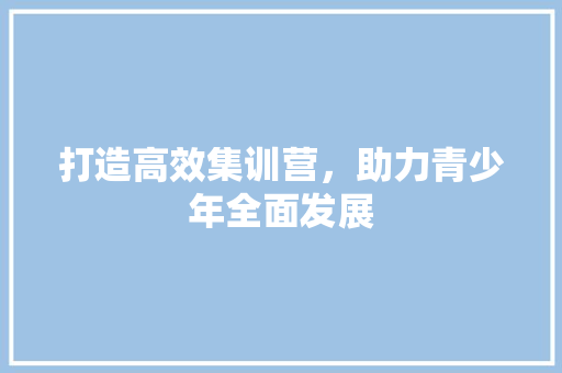打造高效集训营，助力青少年全面发展