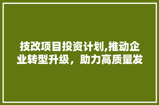 技改项目投资计划,推动企业转型升级，助力高质量发展 特写稿