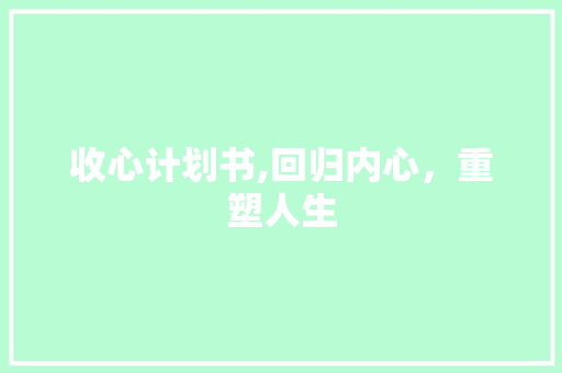 收心计划书,回归内心，重塑人生 生活感悟