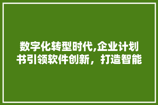 数字化转型时代,企业计划书引领软件创新，打造智能未来