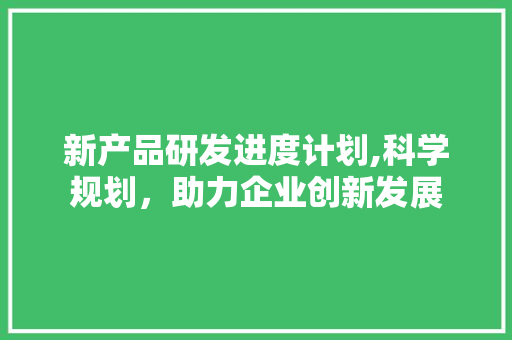 新产品研发进度计划,科学规划，助力企业创新发展