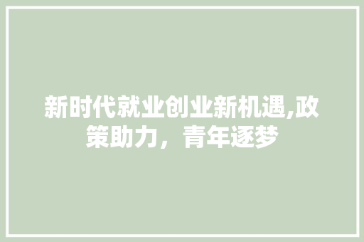 新时代就业创业新机遇,政策助力，青年逐梦