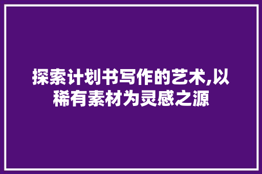 探索计划书写作的艺术,以稀有素材为灵感之源