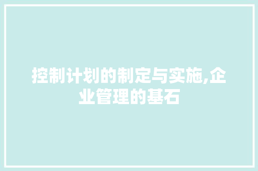 控制计划的制定与实施,企业管理的基石