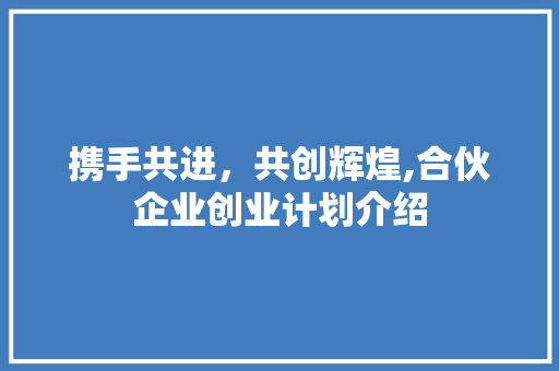 携手共进，共创辉煌,合伙企业创业计划介绍