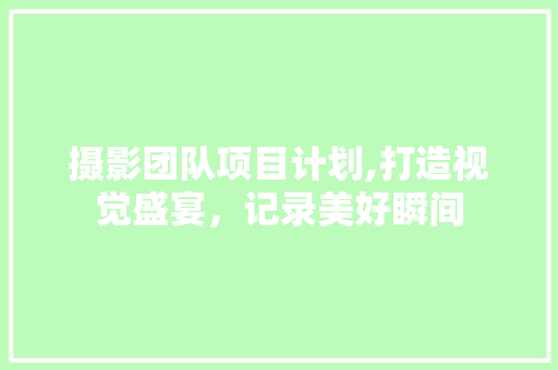 摄影团队项目计划,打造视觉盛宴，记录美好瞬间