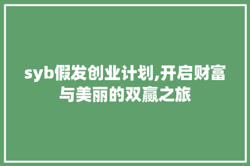 syb假发创业计划,开启财富与美丽的双赢之旅
