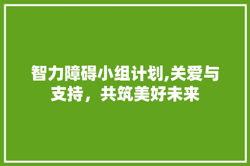 智力障碍小组计划,关爱与支持，共筑美好未来
