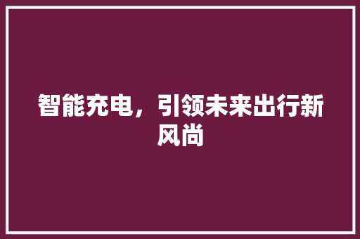 智能充电，引领未来出行新风尚