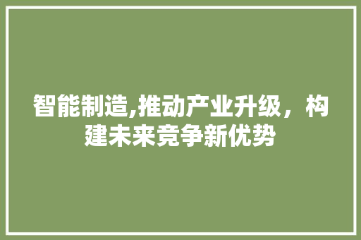 智能制造,推动产业升级，构建未来竞争新优势