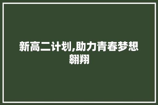 新高二计划,助力青春梦想翱翔 工作总结