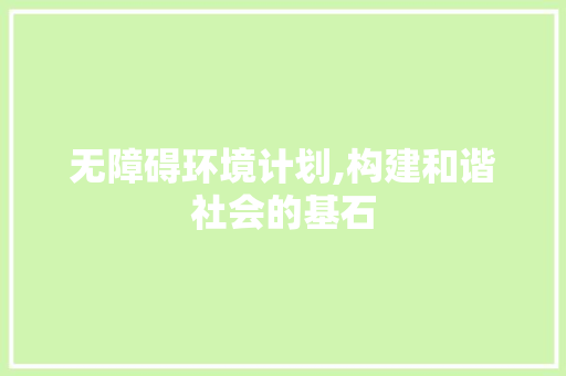 无障碍环境计划,构建和谐社会的基石 工作报告