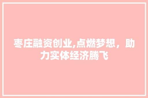 枣庄融资创业,点燃梦想，助力实体经济腾飞