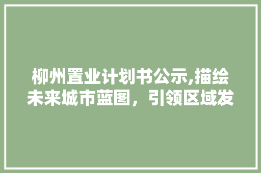 柳州置业计划书公示,描绘未来城市蓝图，引领区域发展新篇章