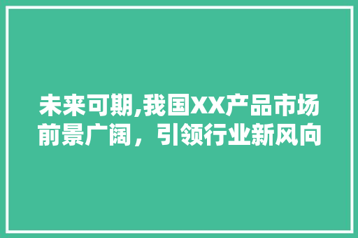 未来可期,我国XX产品市场前景广阔，引领行业新风向 工作类