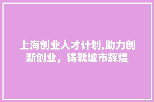 上海创业人才计划,助力创新创业，铸就城市辉煌