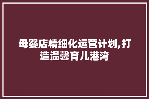 母婴店精细化运营计划,打造温馨育儿港湾