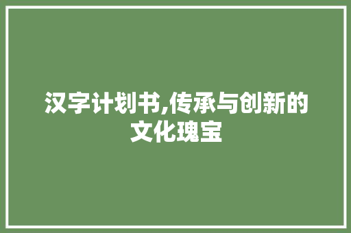 汉字计划书,传承与创新的文化瑰宝