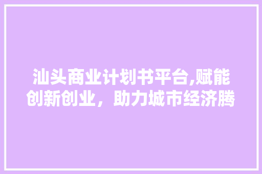 汕头商业计划书平台,赋能创新创业，助力城市经济腾飞 工作总结