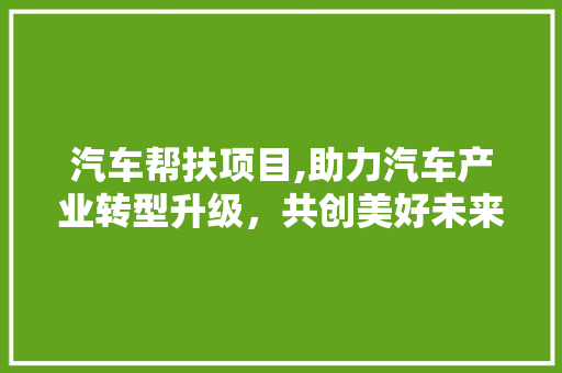 汽车帮扶项目,助力汽车产业转型升级，共创美好未来