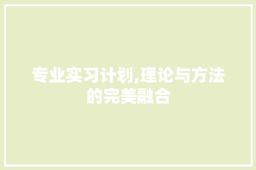 专业实习计划,理论与方法的完美融合