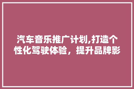 汽车音乐推广计划,打造个性化驾驶体验，提升品牌影响力