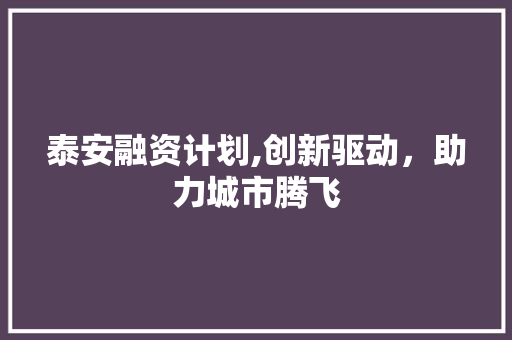 泰安融资计划,创新驱动，助力城市腾飞 工作类