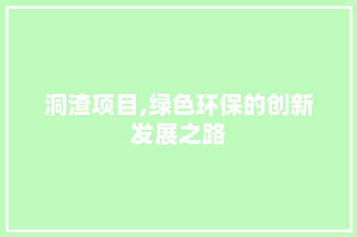 洞渣项目,绿色环保的创新发展之路