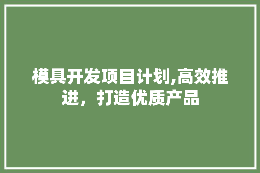 模具开发项目计划,高效推进，打造优质产品