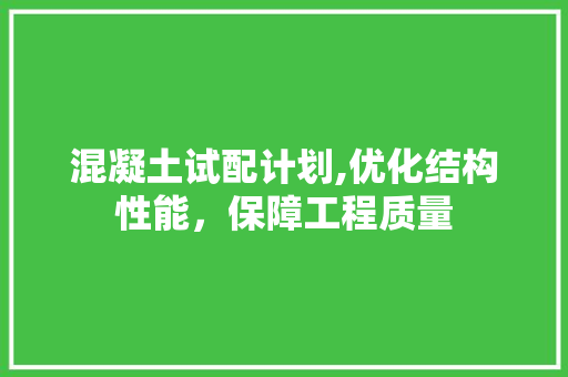 混凝土试配计划,优化结构性能，保障工程质量 工作类