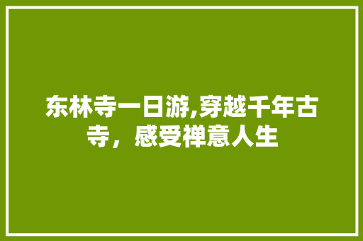 东林寺一日游,穿越千年古寺，感受禅意人生