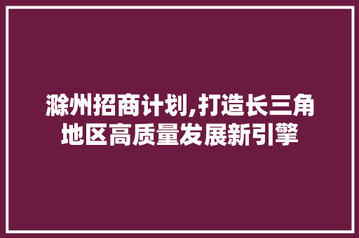 滁州招商计划,打造长三角地区高质量发展新引擎 采访稿
