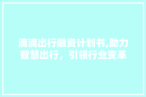 滴滴出行融资计划书,助力智慧出行，引领行业变革
