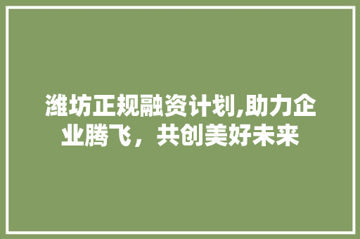 潍坊正规融资计划,助力企业腾飞，共创美好未来